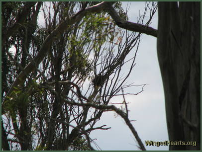 Vicky sees us while we're still by the road
