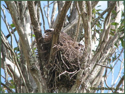 And she checks the eggs