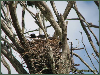 She sings a few bars