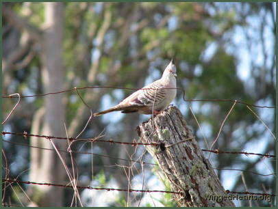 the sun breaks through