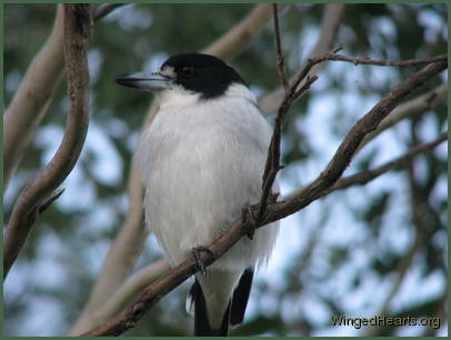 Larry's enjoying the sunshine Larry's enjoying the sunshine
