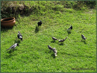 All enjoy their social get togethers All enjoy their social get togethers