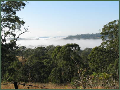 the clear mornings turn the clear mornings turn