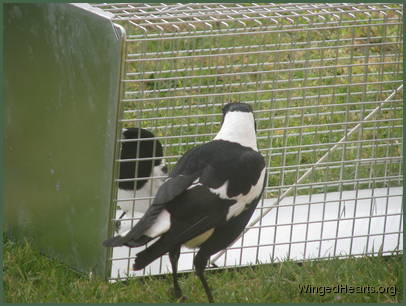 Kerry confirming Butchie's confidence while