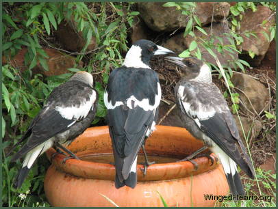 Sophie loved siblings Mindy and Monty