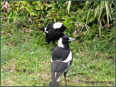 Wendy says goodbye to Sophie not knowing Sophie was soon to fall ill