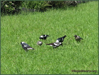 Billy's family is happy too