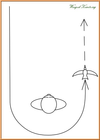 Your magie friend flies around you in a J-shape
