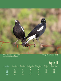 Winged Hearts Calendar 2015