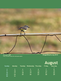 Winged Hearts Calendar 2015