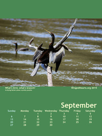 Winged Hearts Calendar 2015