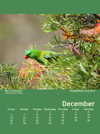 Winged Hearts Calendar 2015