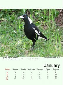 Jan-09